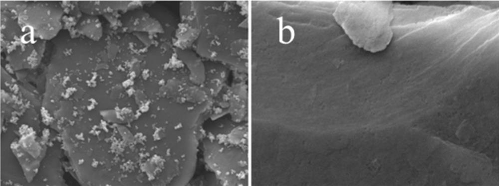 Needle coke regulated and controlled by transition metal as well as preparation and application of needle coke