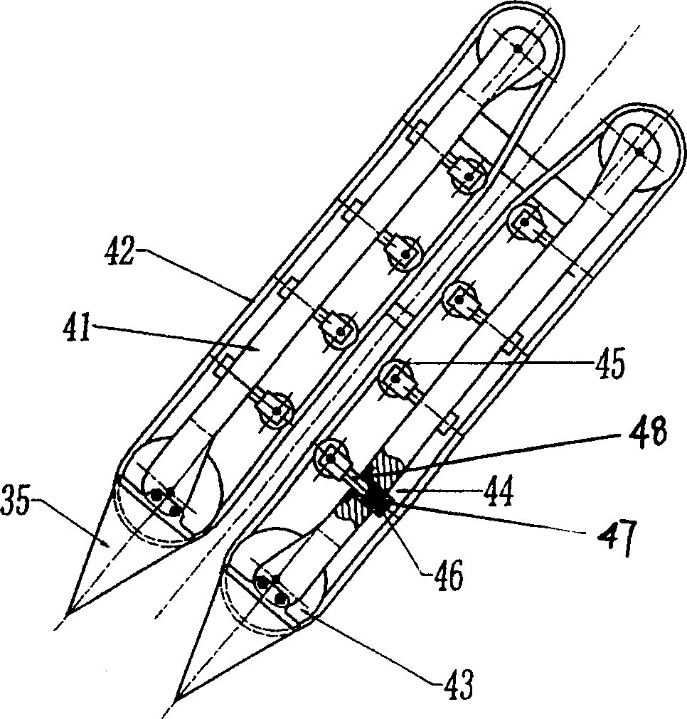 Celery harvester