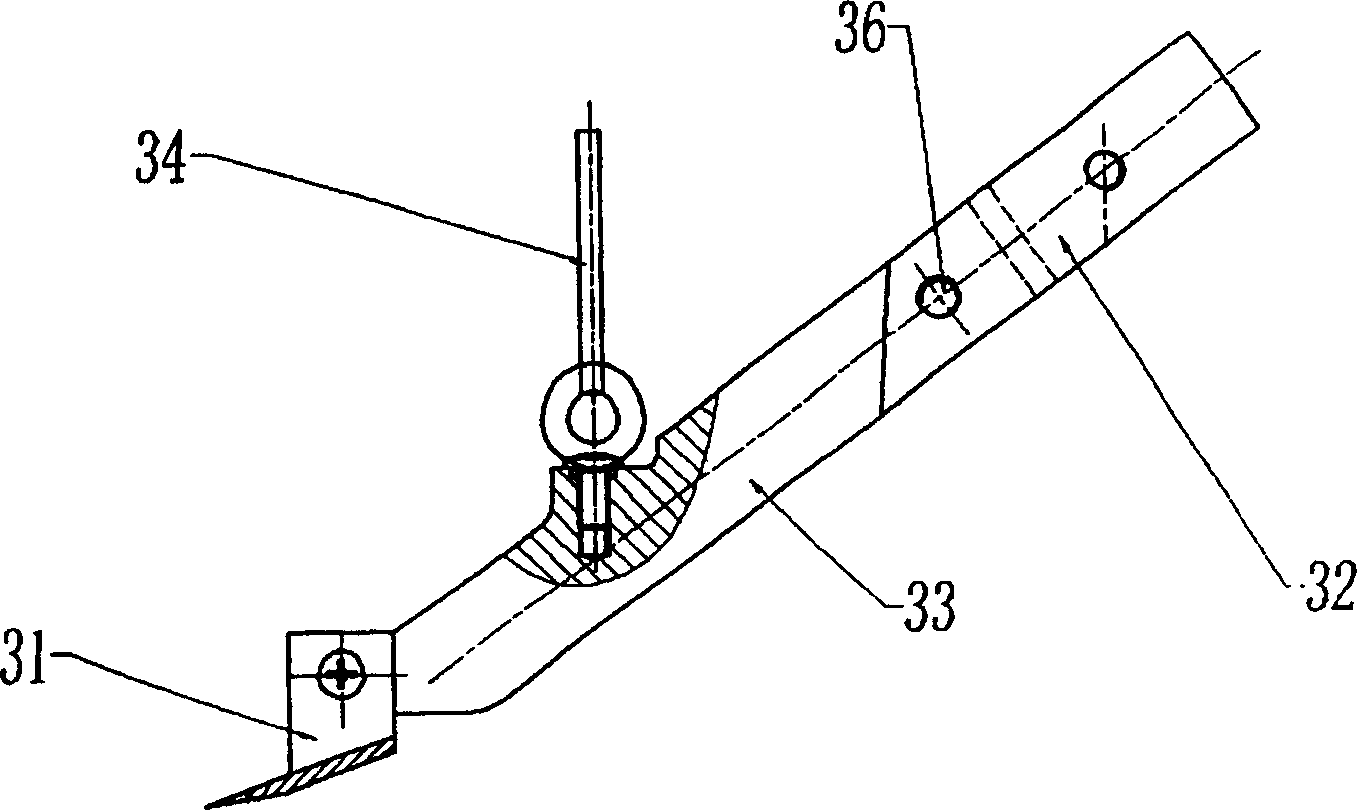 Celery harvester