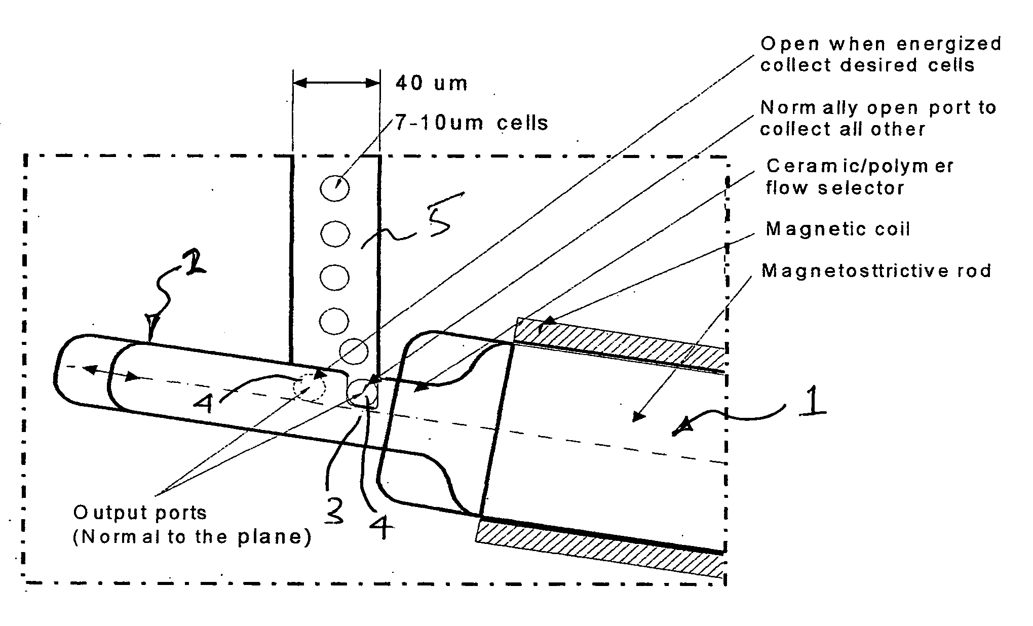 Method and apparatus for cell sorting