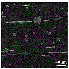 High-yield-ratio wrought magnesium alloy and preparation method thereof