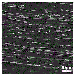 High-yield-ratio wrought magnesium alloy and preparation method thereof