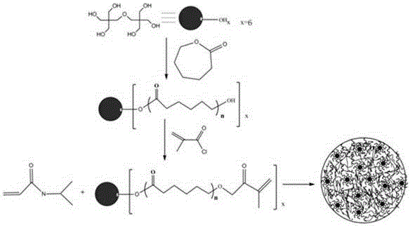 Novel poly N-isopropylacrylamide hydrogel, and preparation method and application thereof