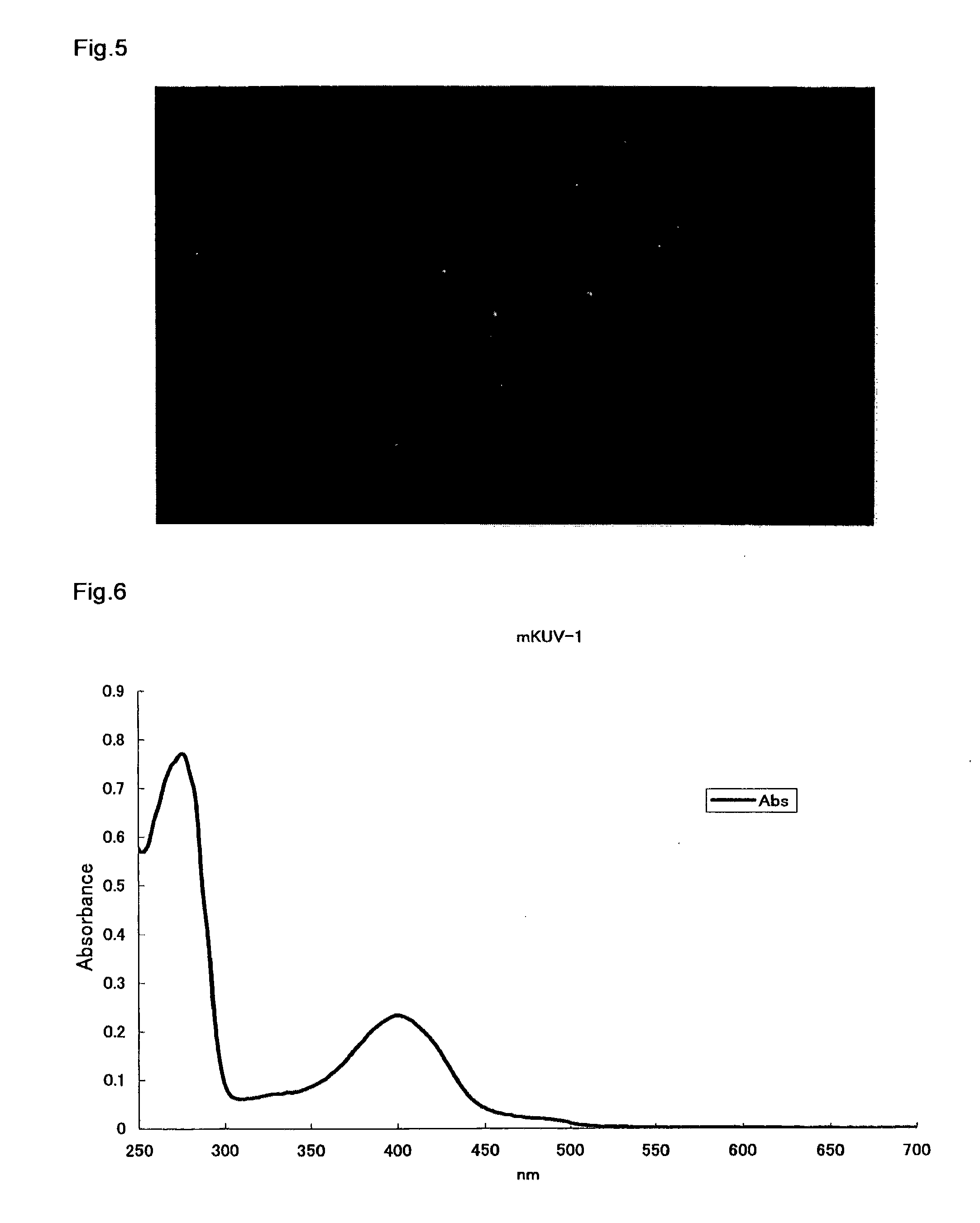 Fluorescent protein