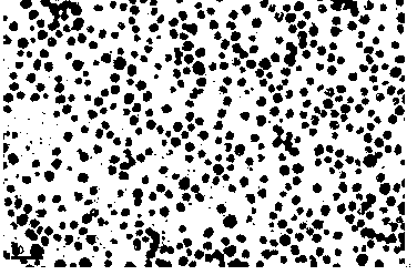 Method for reducing and preparing functionalized nano-silver based on polyphenol