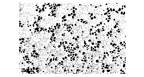 Method for reducing and preparing functionalized nano-silver based on polyphenol