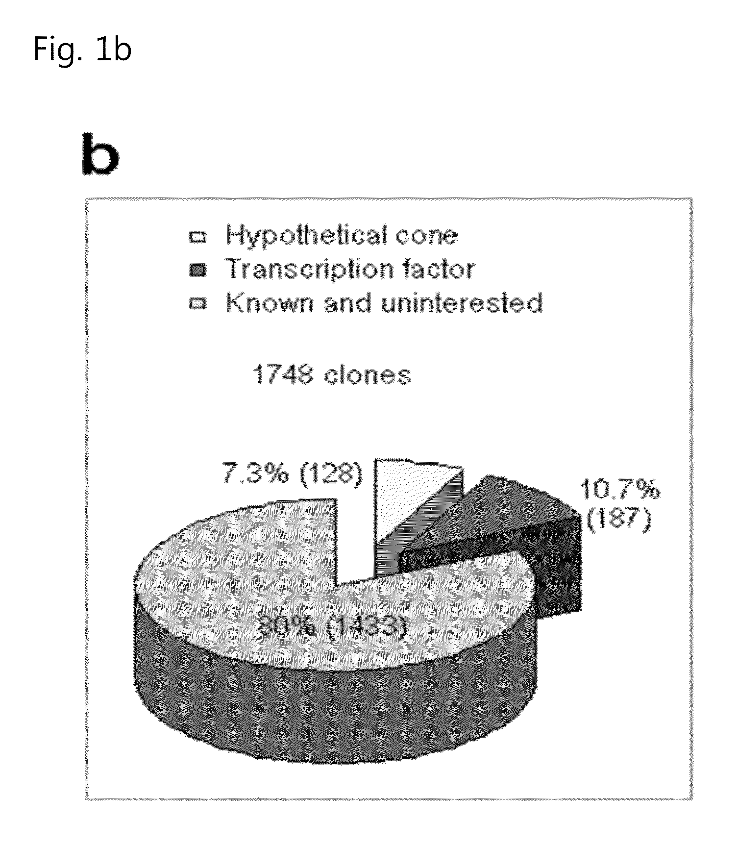 Pharmaceutical composition including an hif-2 alpha inhibitor as an active ingredient for preventing or treating arthritis