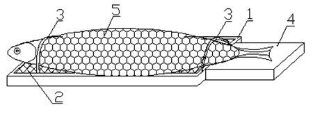 Waterless keep-alive transportation pad for fish