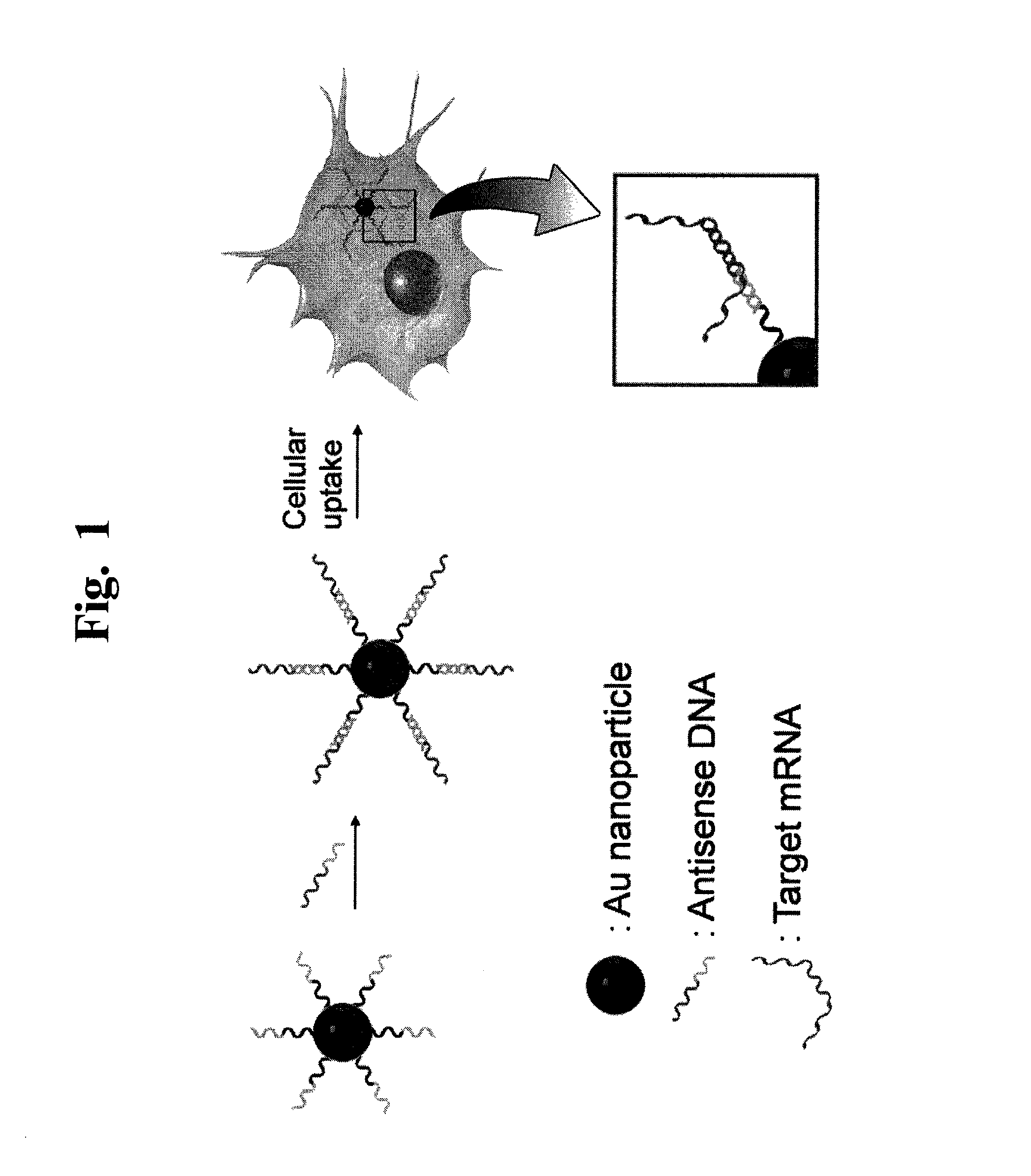 Nanoparticle-based gene delivery systems