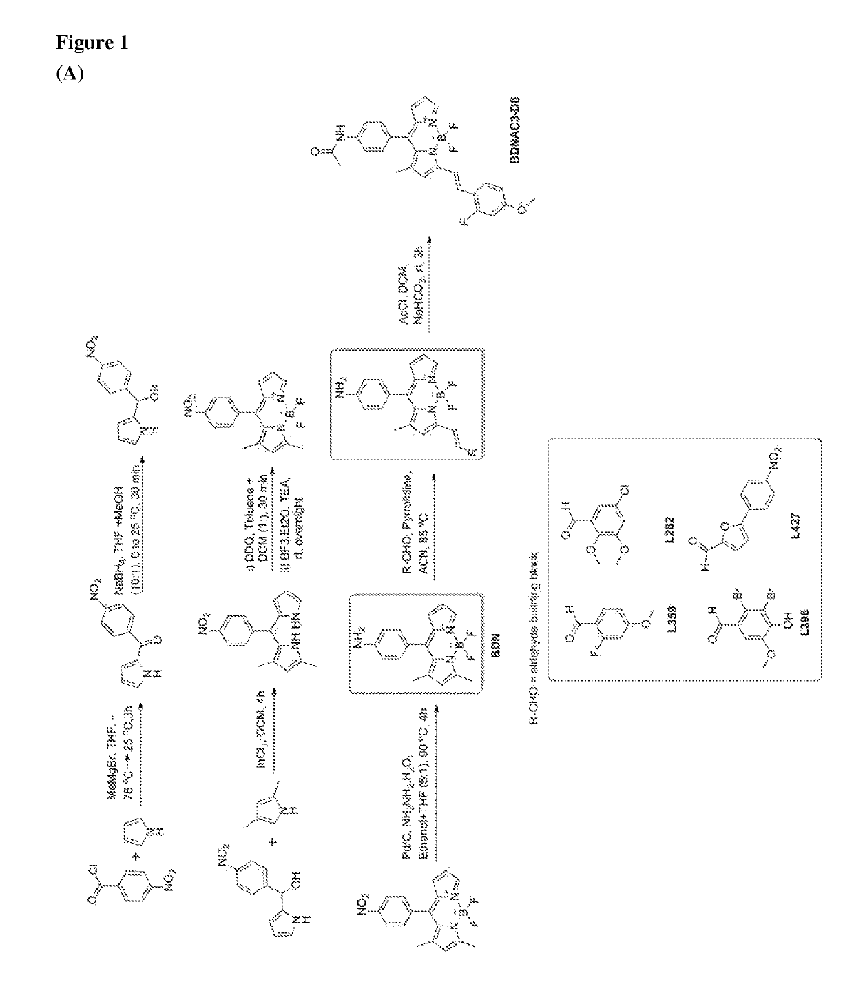 Chemical fluorescent probes for detecting biofilms