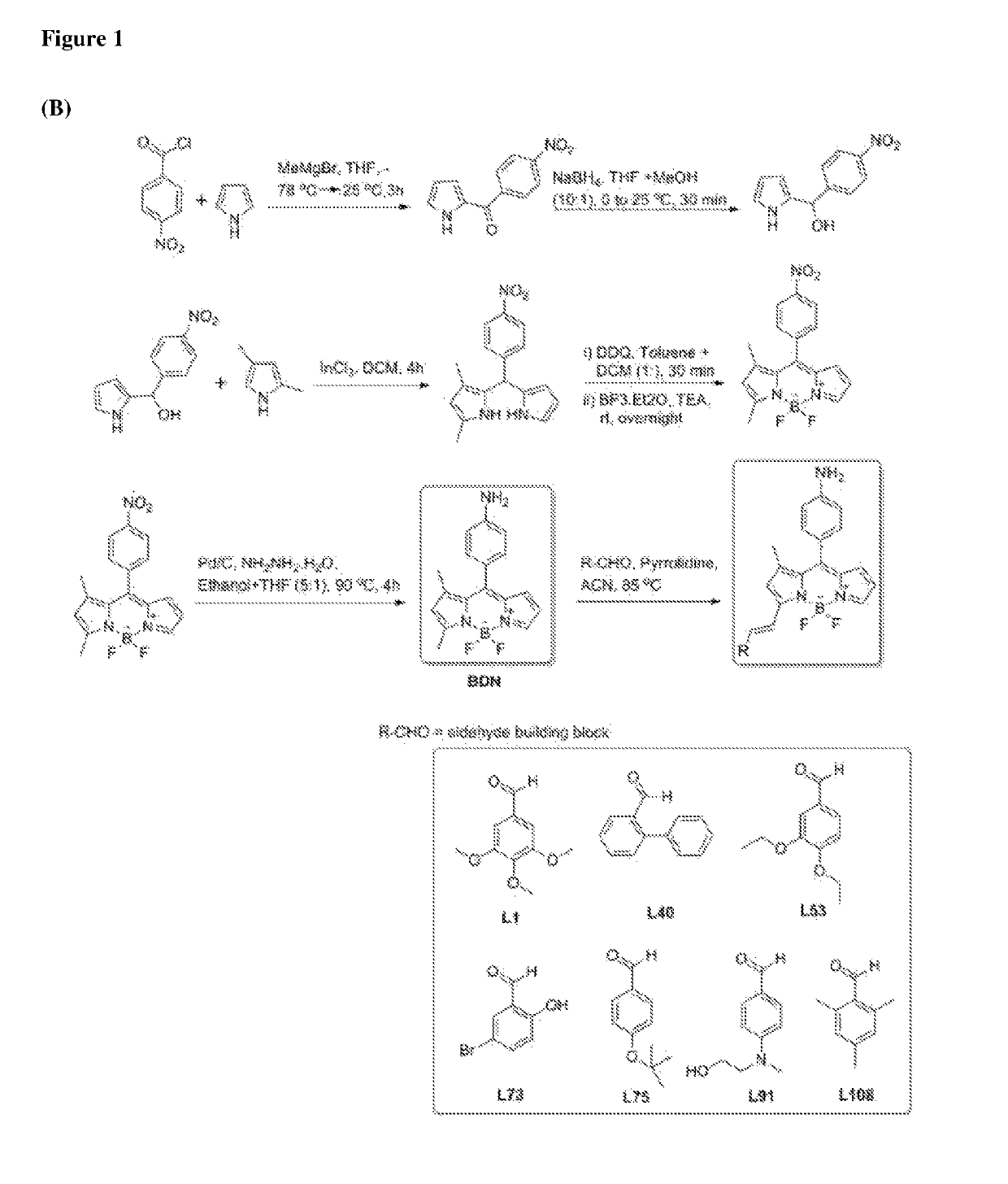 Chemical fluorescent probes for detecting biofilms