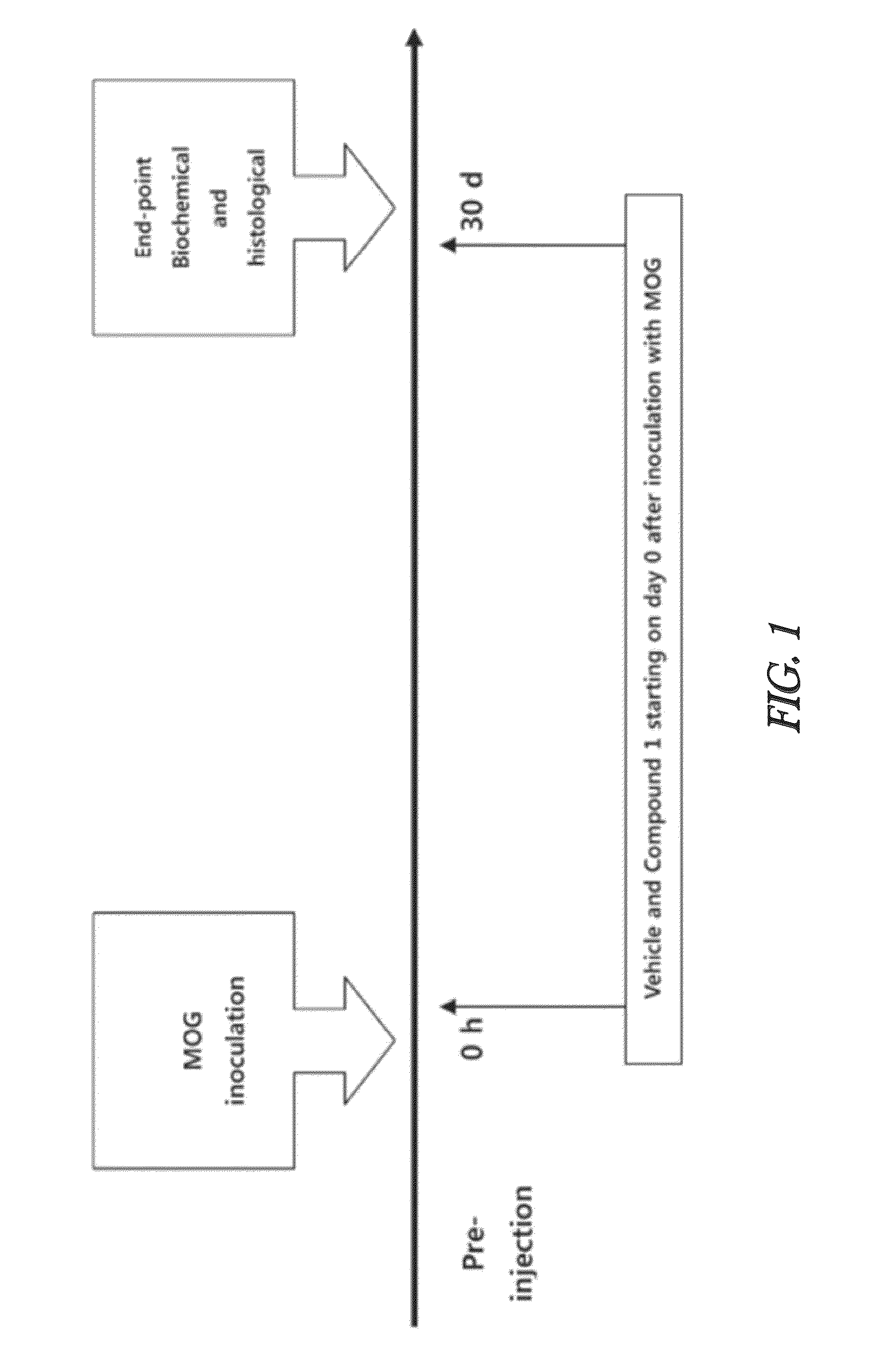 Phenylpropyl carbamate derivatives for use in preventing or treating multiple sclerosis