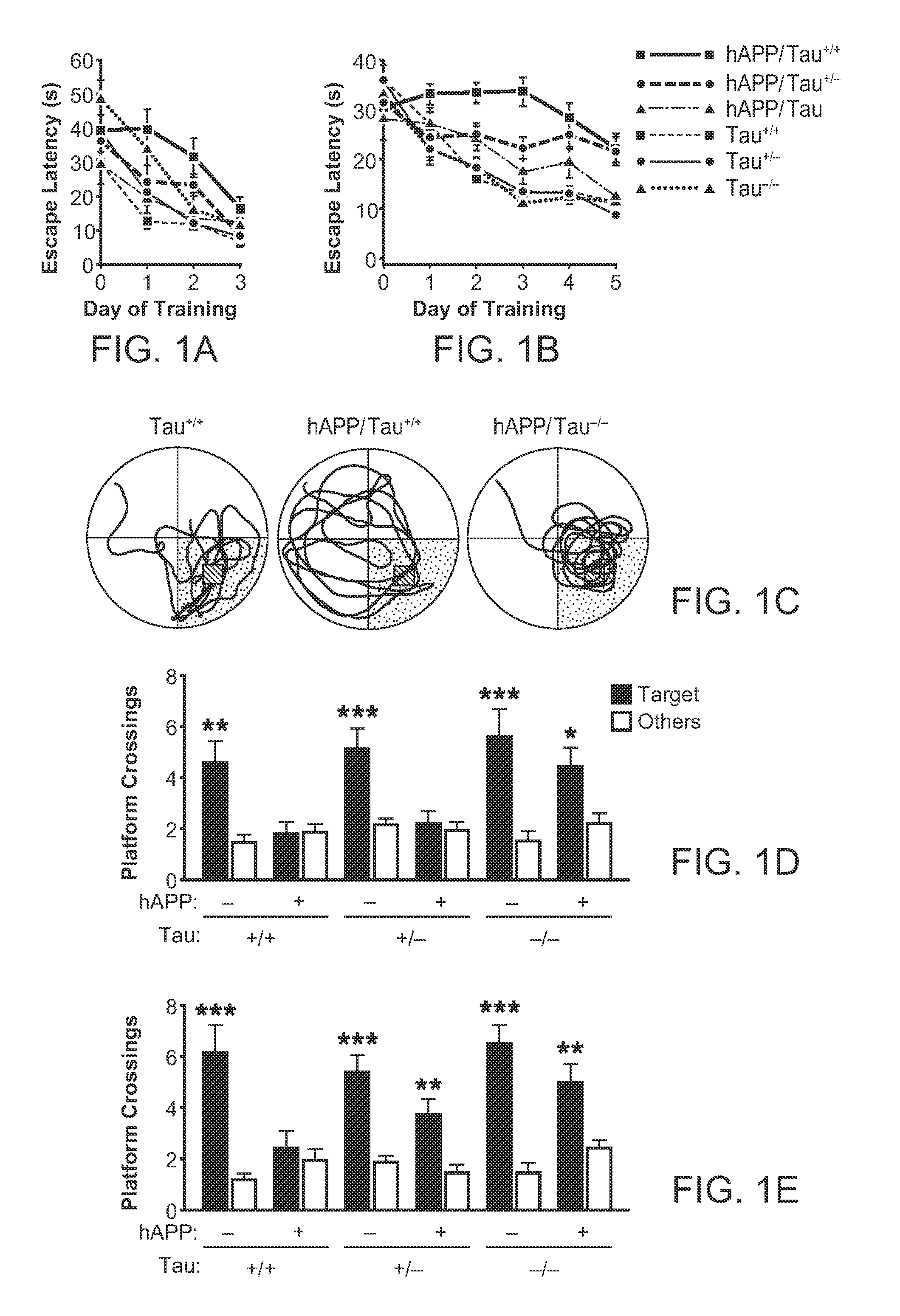 Agents that Reduce Neuronal Overexcitation