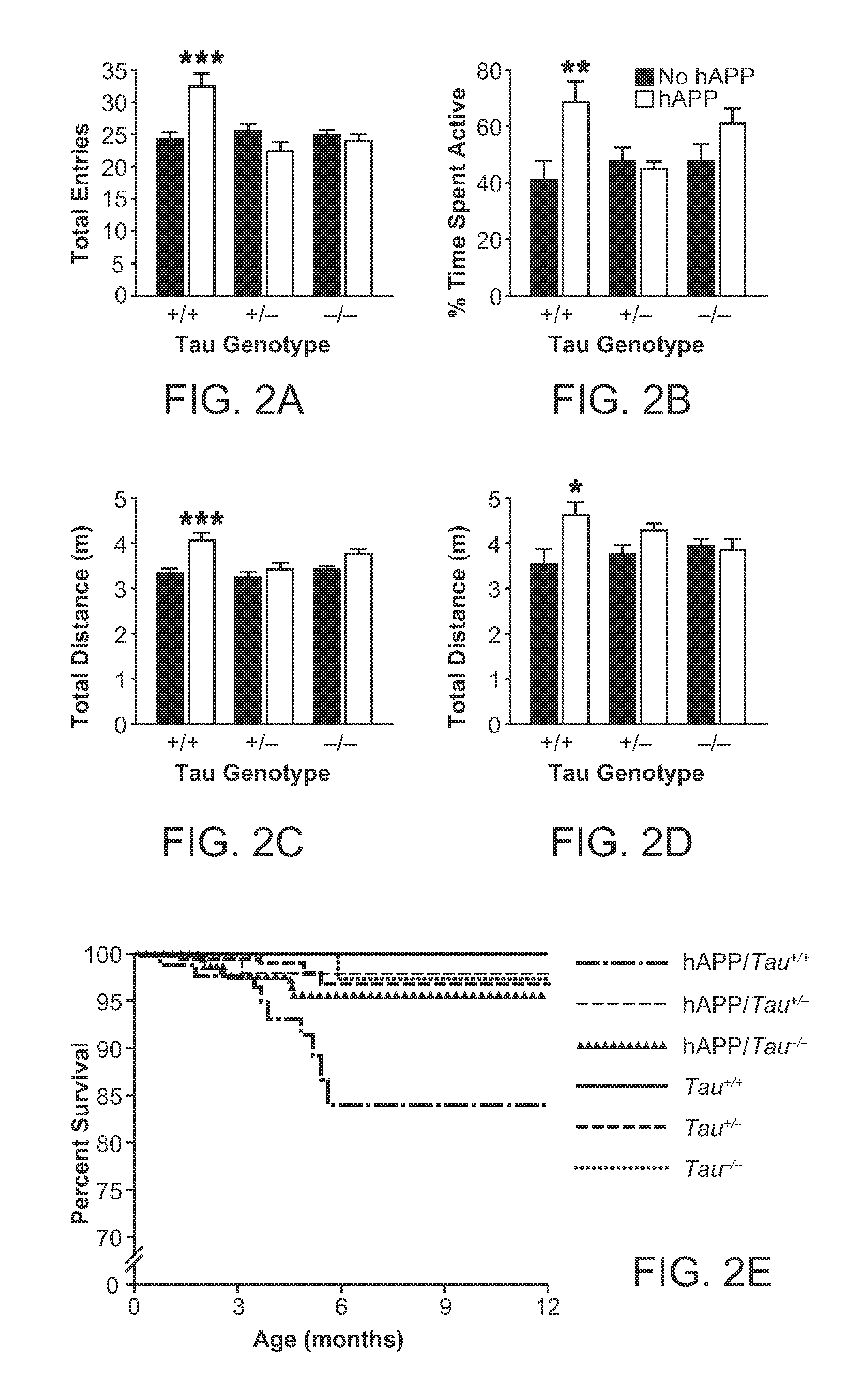 Agents that Reduce Neuronal Overexcitation