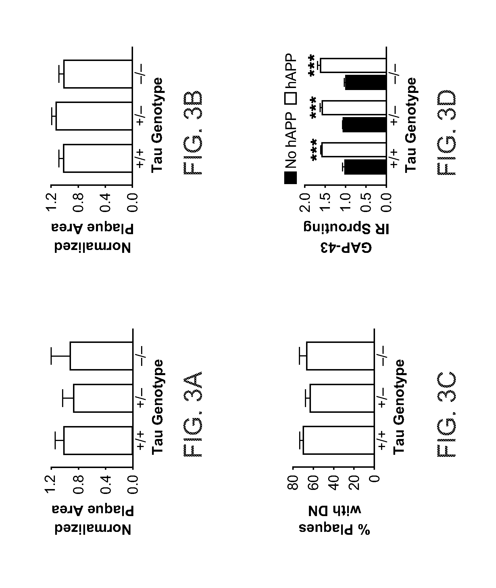 Agents that Reduce Neuronal Overexcitation