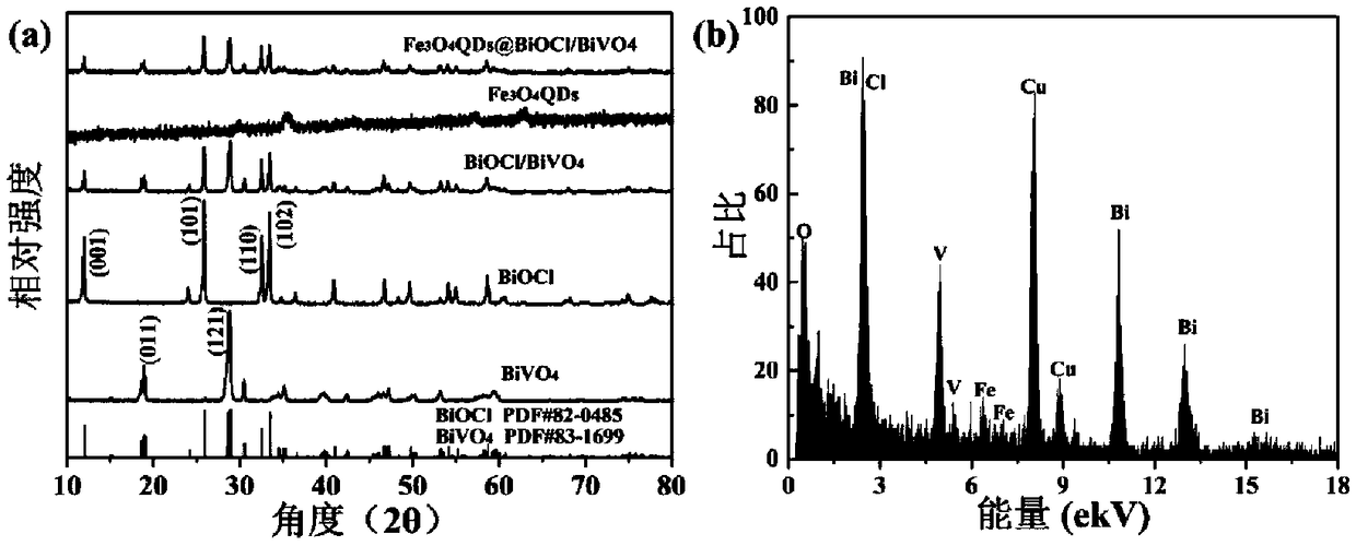 Preparation method of visible light-responsive Fe3O4 quantum dot-modified BiOCl/BiVO4