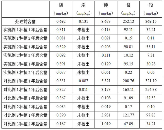 Comprehensive utilization method for mixed planting of castor oil plants and sisal hemp