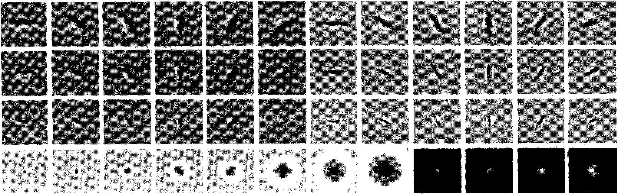 Remote sensing image change detection method based on texton