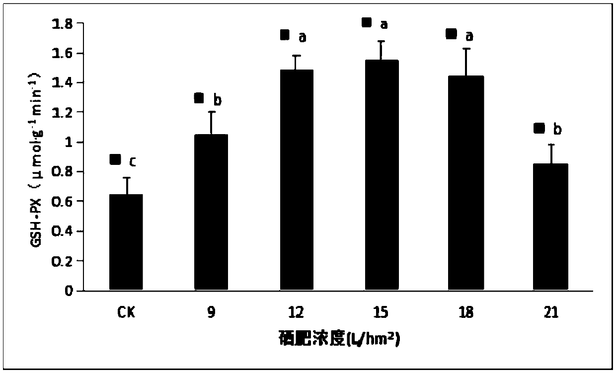 Method for researching influence of exogenous selenium on selenium content, glutathione peroxidase activity, and quality of tea