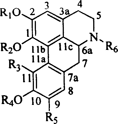 Lindera root alkaloid, its preparation method and application in medicine preparation