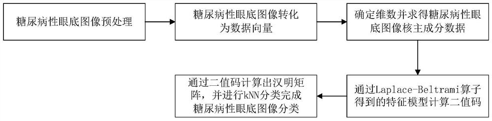 Kernel principal component spectral hashing method for diabetic fundus image classification