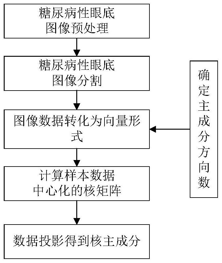 Kernel principal component spectral hashing method for diabetic fundus image classification