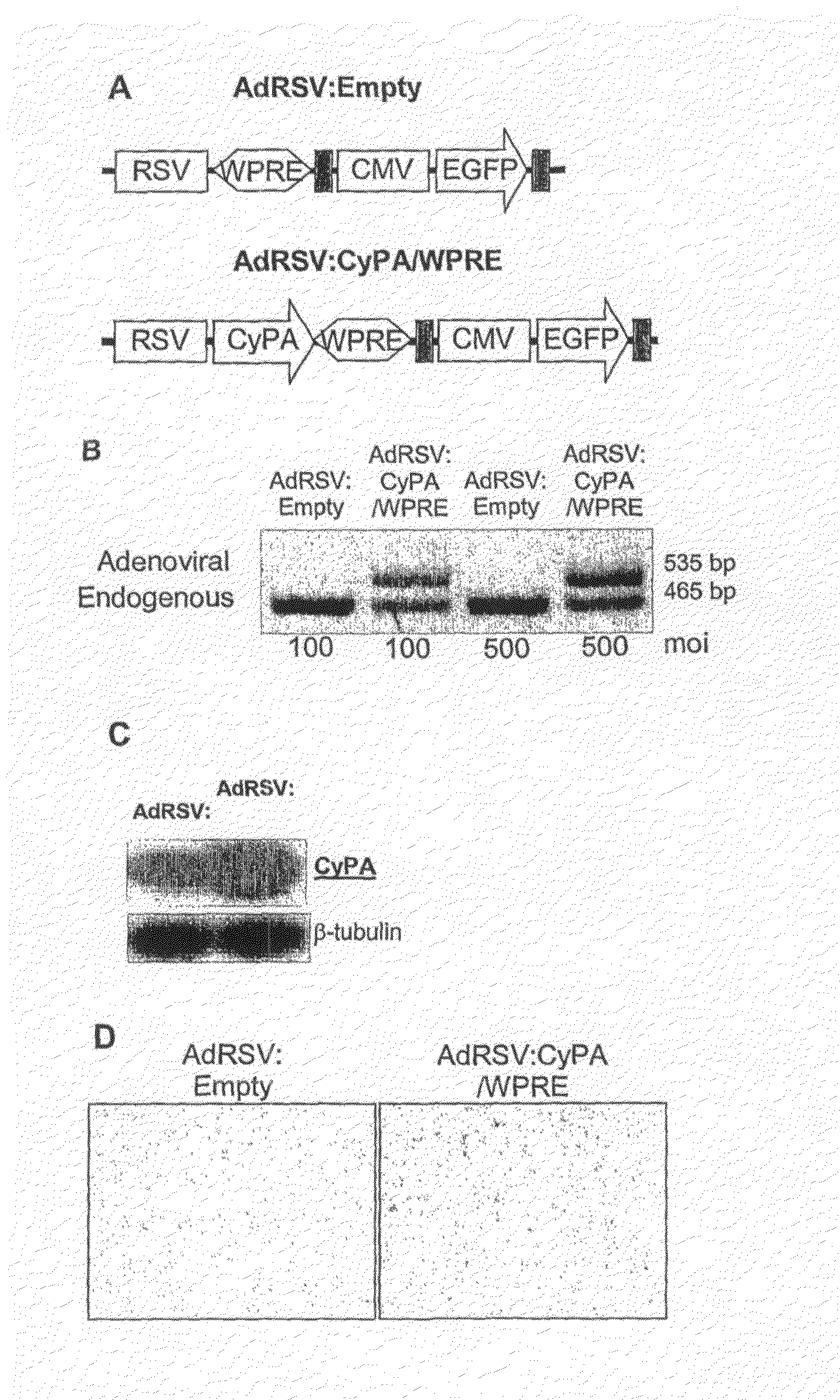 Neuroactive agents and methods of their use