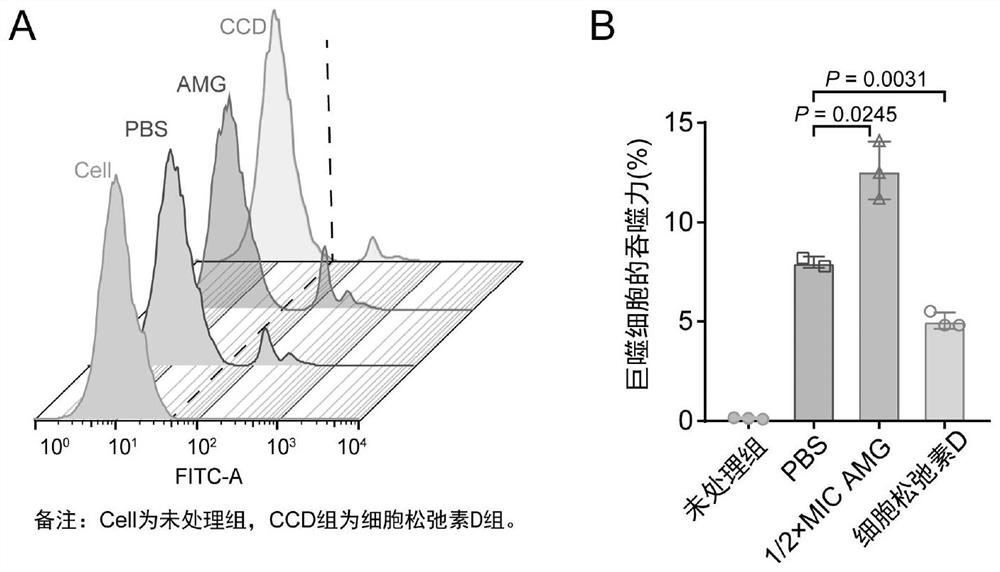 Application of mangosteen extract alpha-mangostin in preparation of medicine for preventing and treating livestock and poultry clostridium perfringens infection