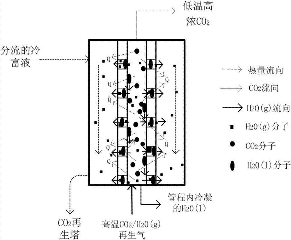 CO2 chemical absorption system and method based on water vapor mass transfer reinforced afterheat recovery