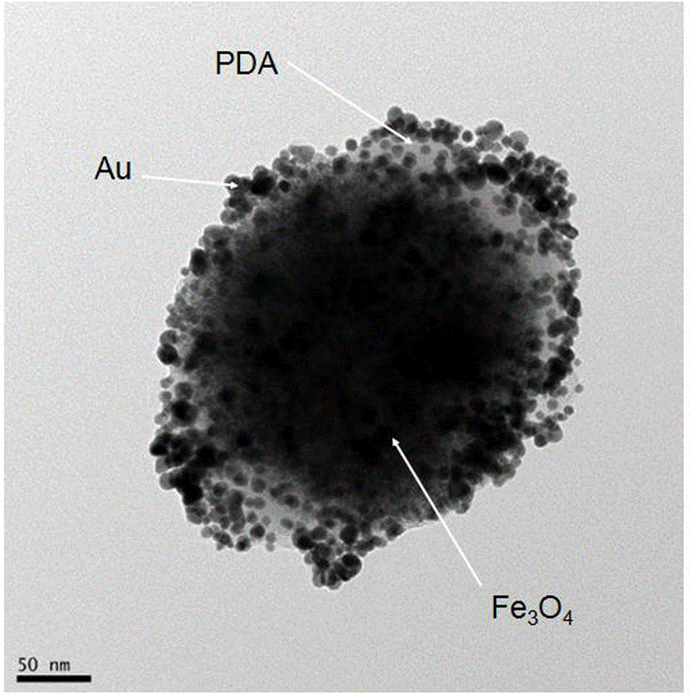 Preparation method and application of nanogold composite material immunosensor