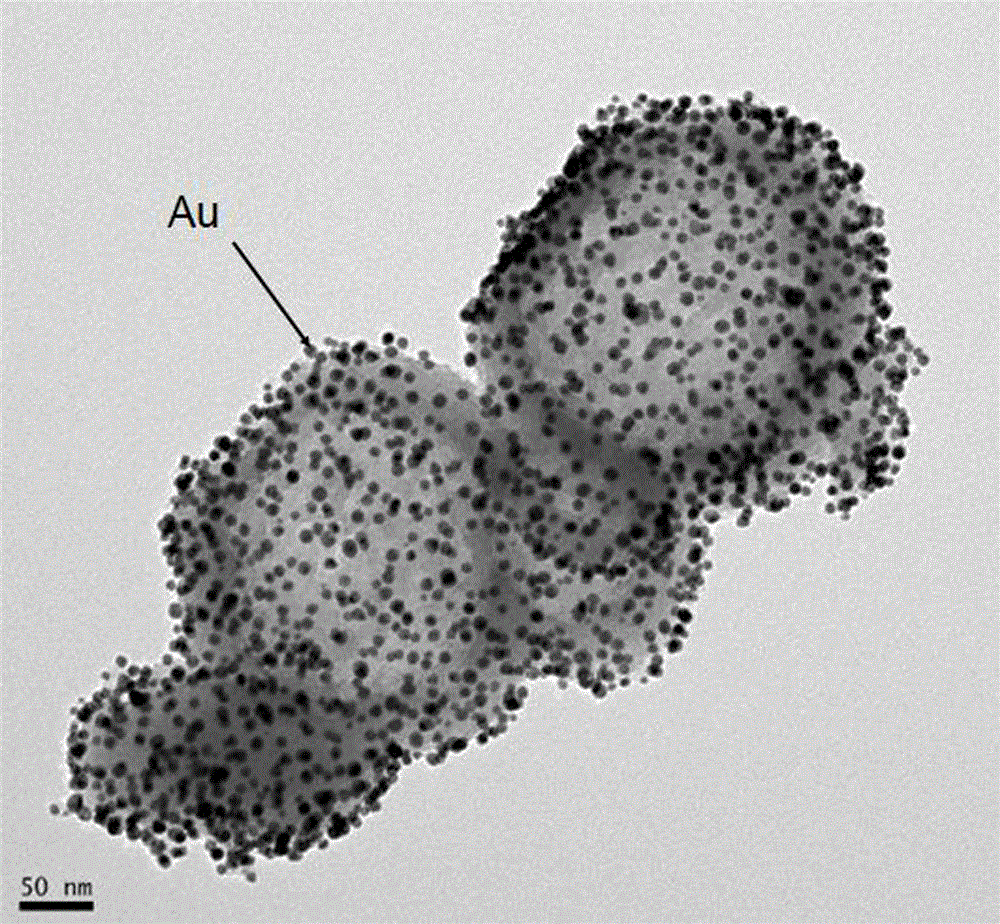 Preparation method and application of nanogold composite material immunosensor