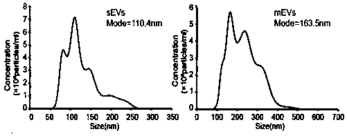 Application and detection method of protein TNFAIP8 in plasma small extracellular vesicles