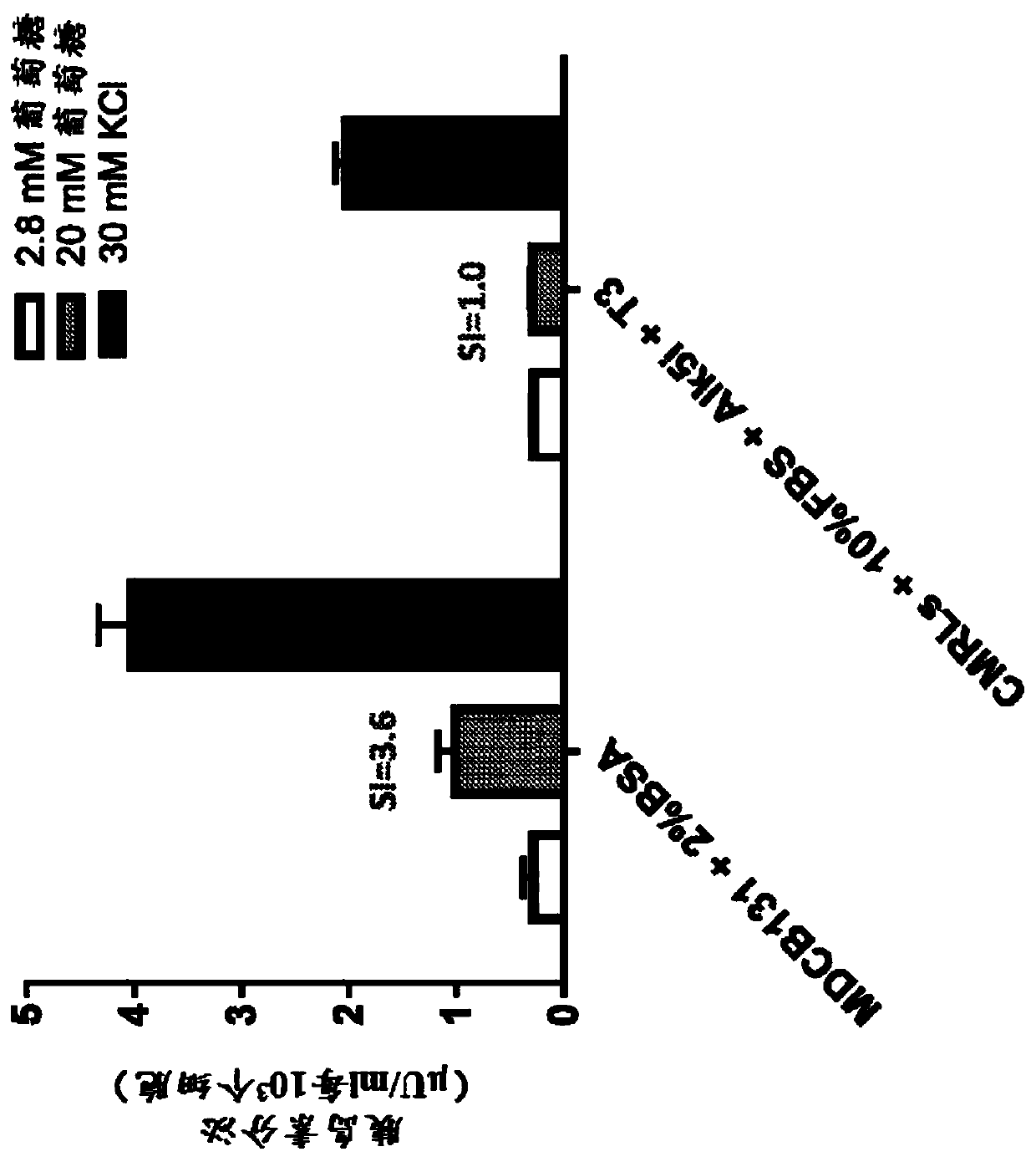 Re-aggregation of stem cell-derived pancreatic beta cells