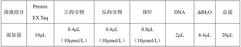 Relative quantitative method of tubifex in sludge reduction technology and application of relative quantitative method