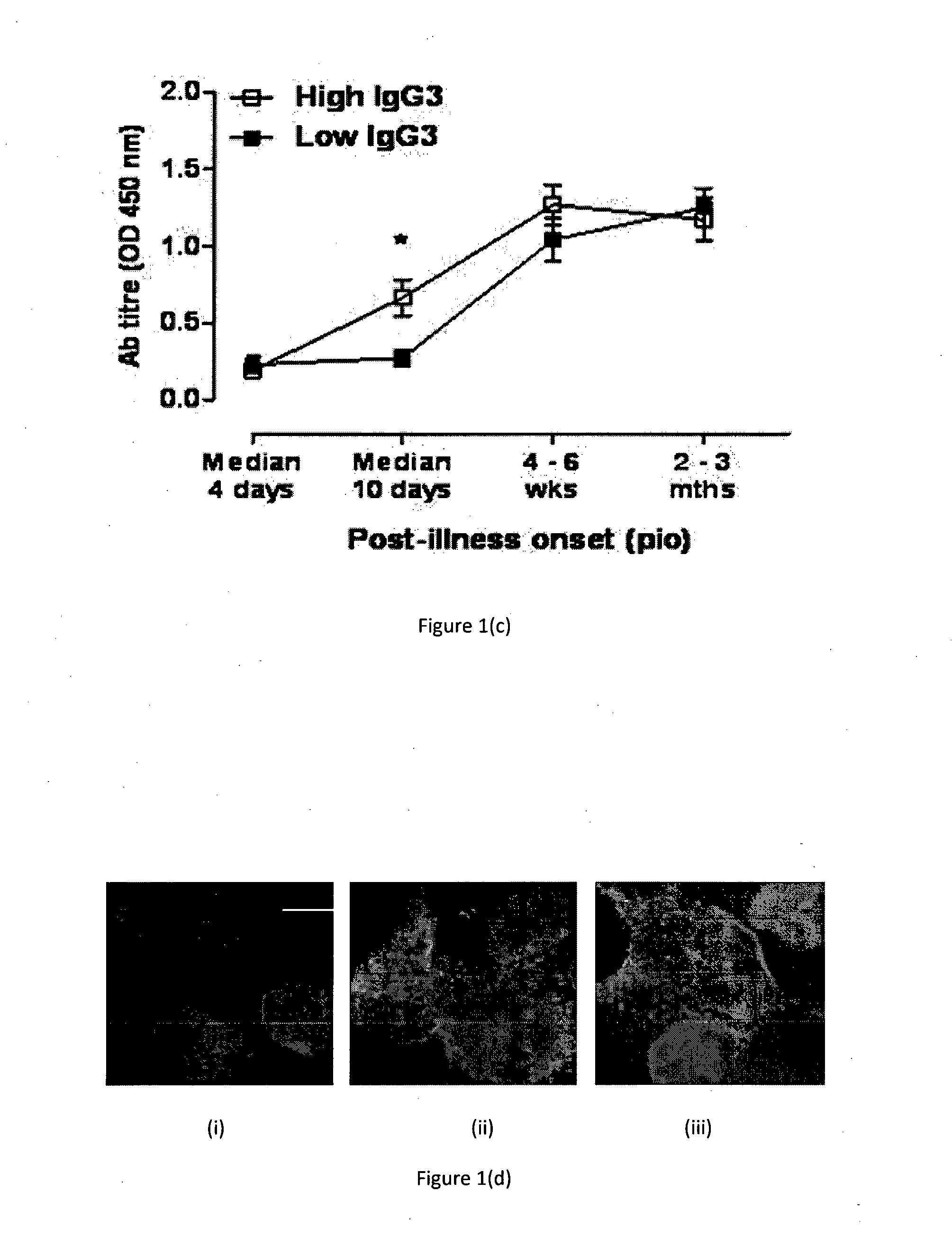 Immunogenic chikungunya virus peptides