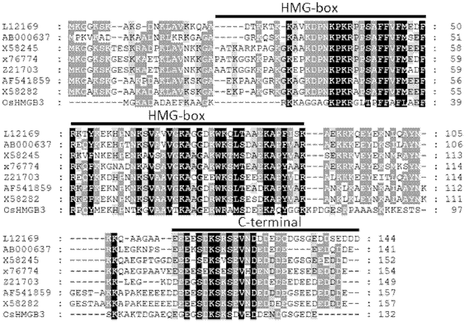 Rice stress resistance-related OsHMGB3 gene, and encoding protein and application thereof