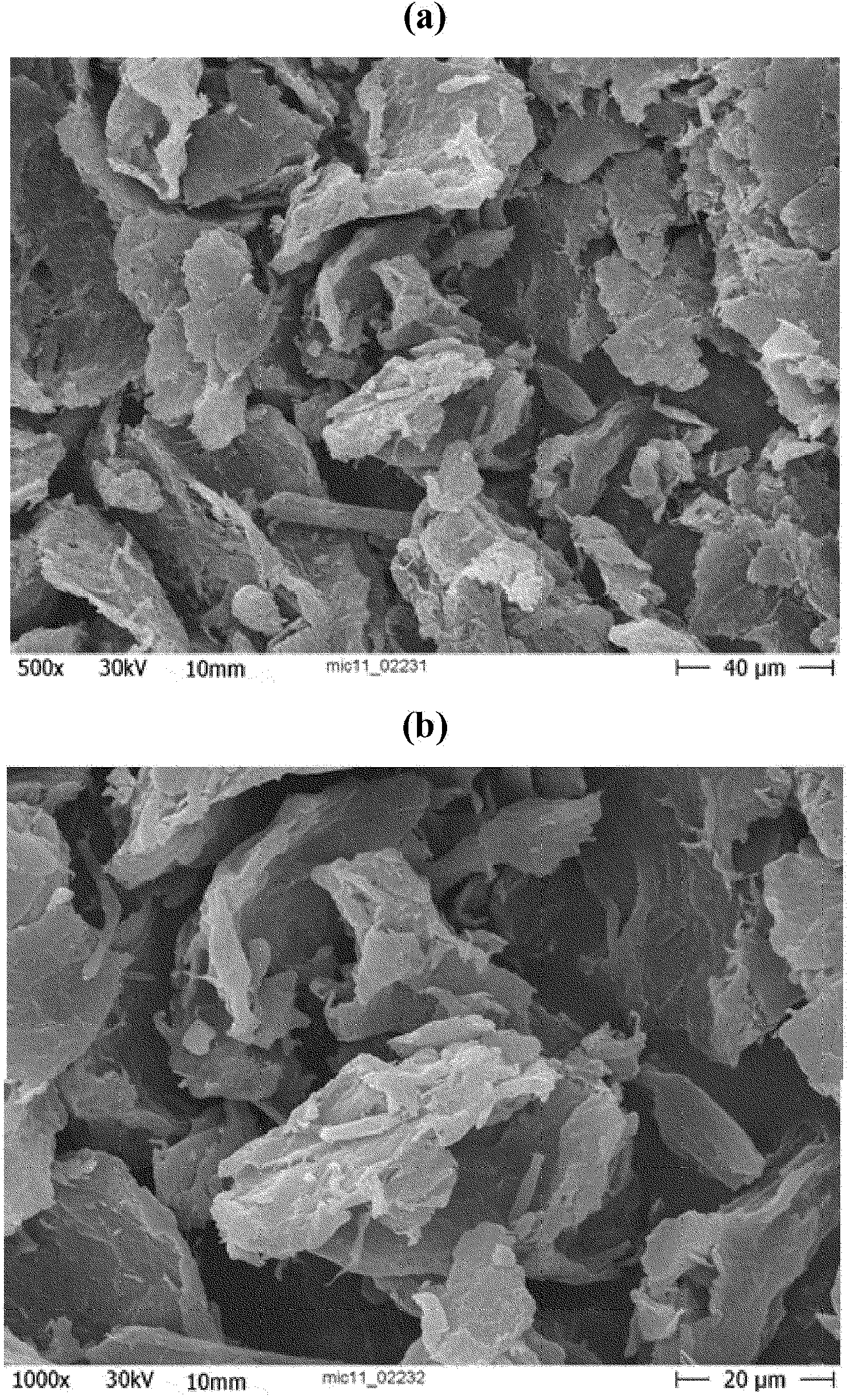 Process for manufacturing coated substrates