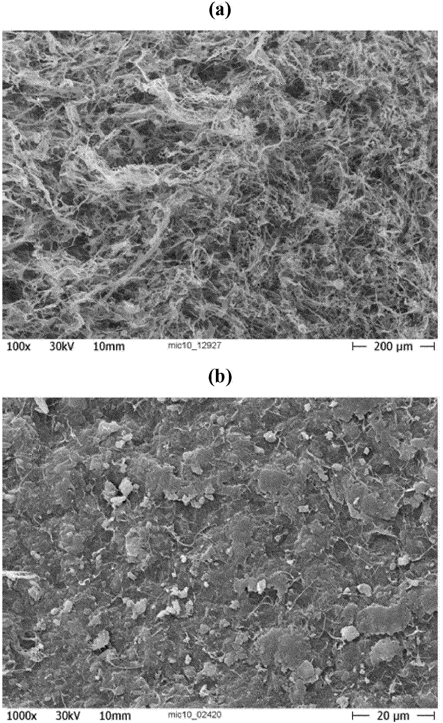 Process for manufacturing coated substrates