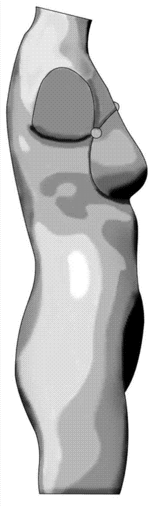 Multi-functional flexible mannequin and manufacture method thereof