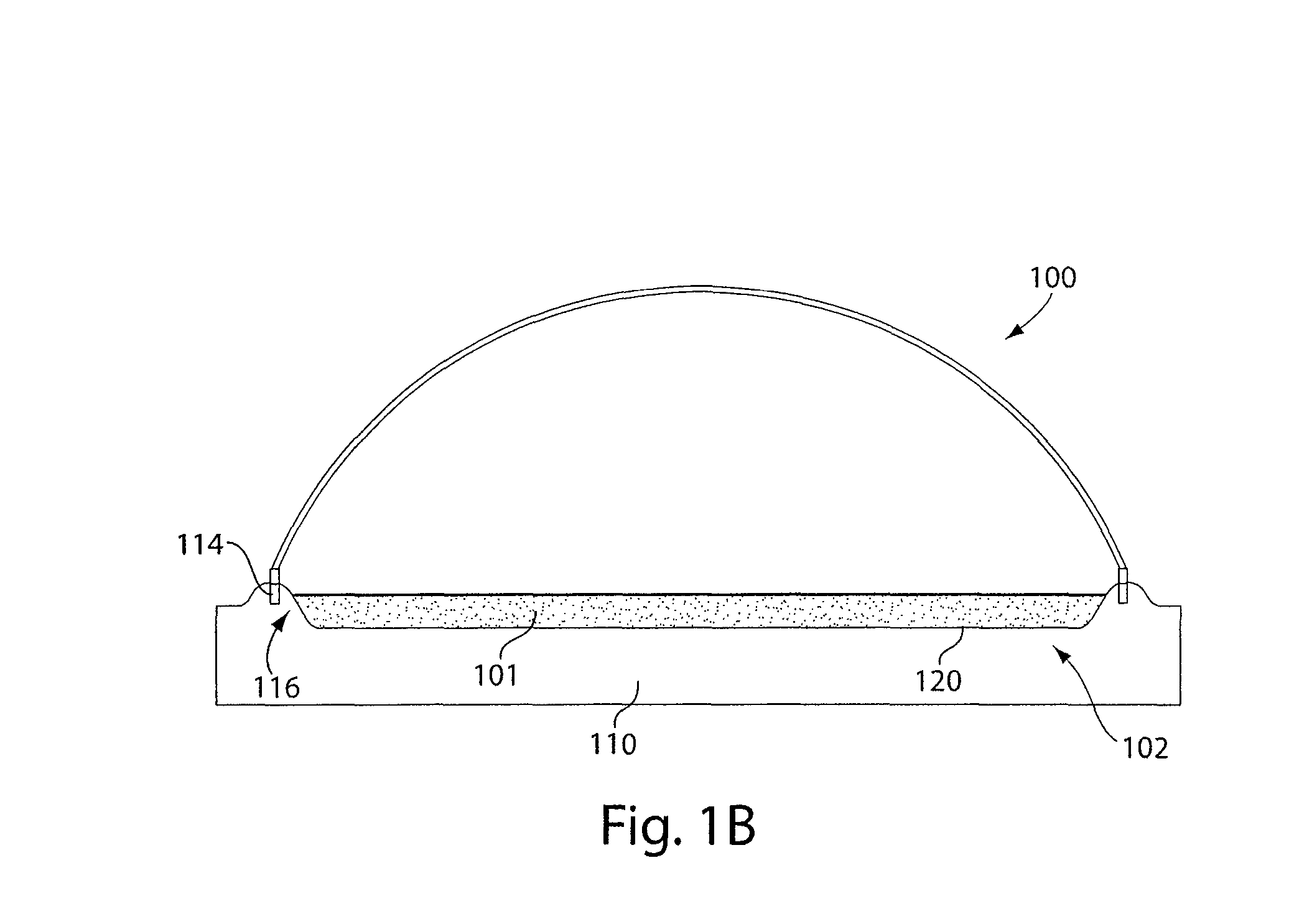 Photobioreactor systems and methods for treating CO2-enriched gas and producing biomass