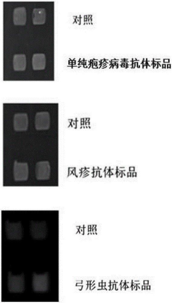 Novel method for identifying toxoplasma, rubella virus and herpes simplex virus at same time