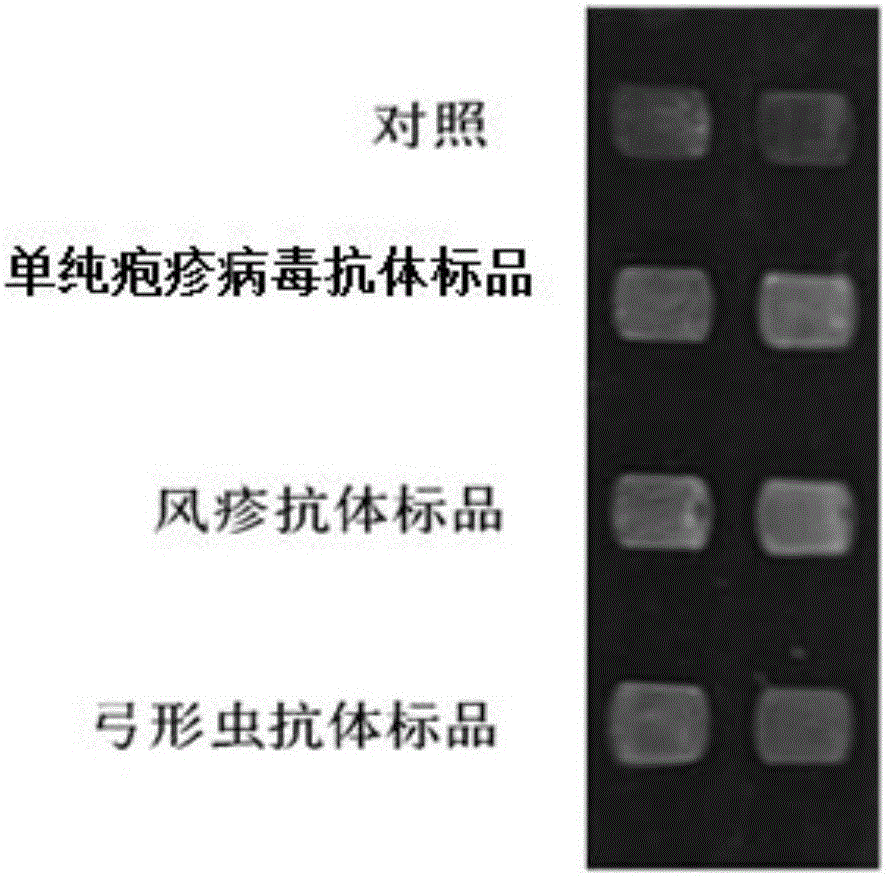 Novel method for identifying toxoplasma, rubella virus and herpes simplex virus at same time