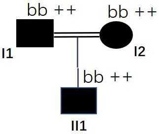 A msh6 gene mutated at the 12907th point and its application