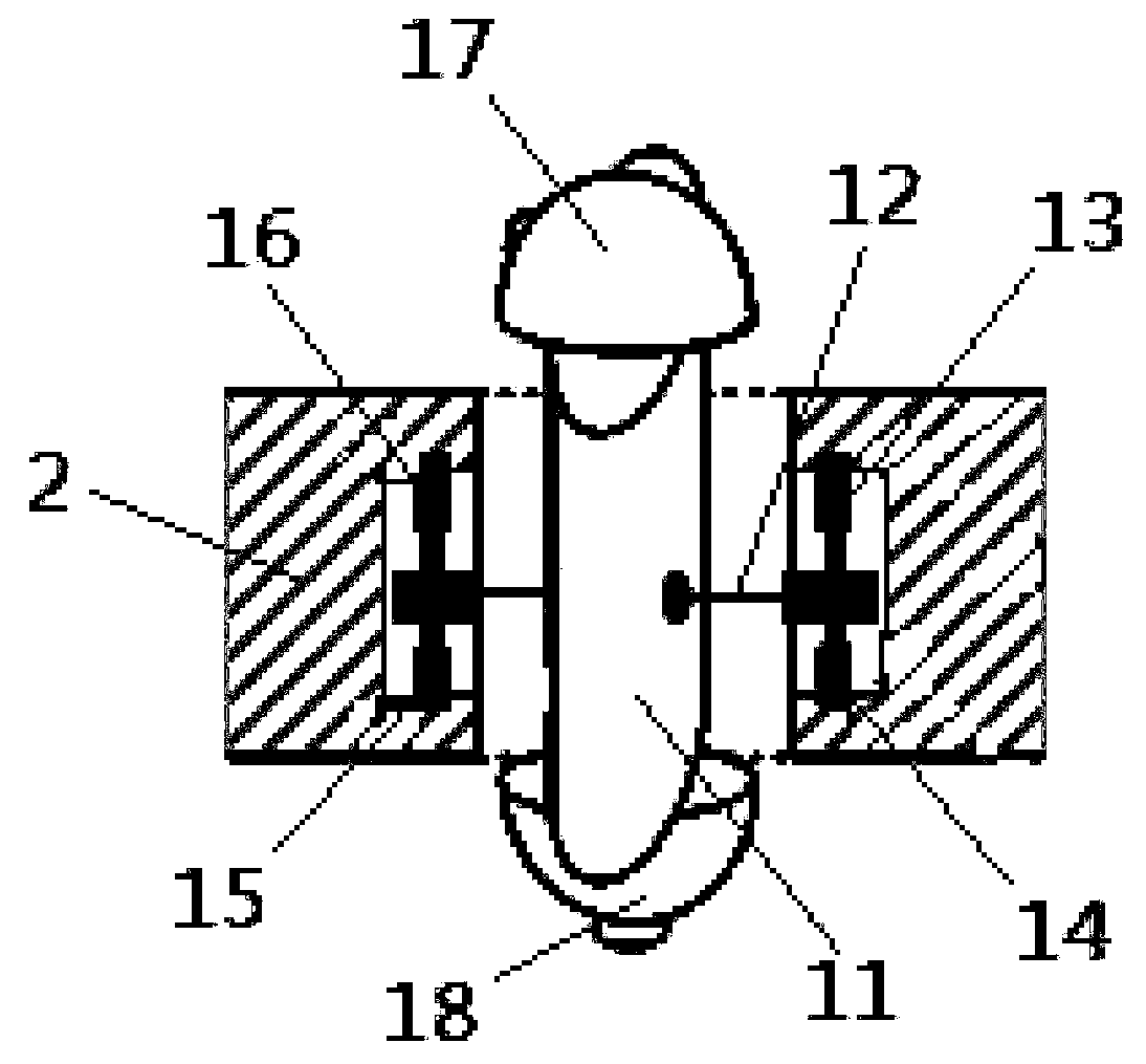 Attitude adjustment platform for two-degree-of-freedom camera and sonar