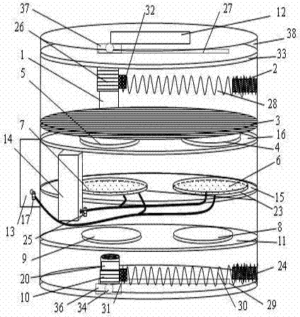 Automatic decoupling detection method for harmful bacteria intruding into tissues of vegetables or fruits and device