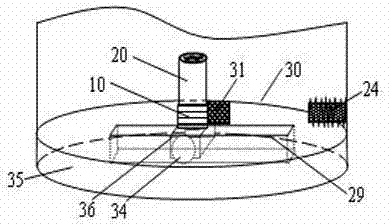 Automatic decoupling detection method for harmful bacteria intruding into tissues of vegetables or fruits and device