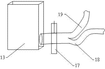 Automatic decoupling detection method for harmful bacteria intruding into tissues of vegetables or fruits and device