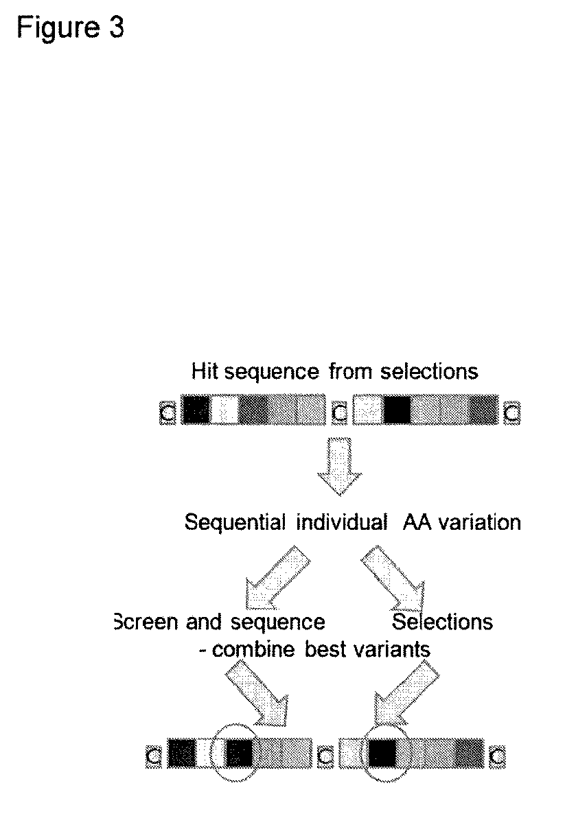 Modulation of structured polypeptide specificity