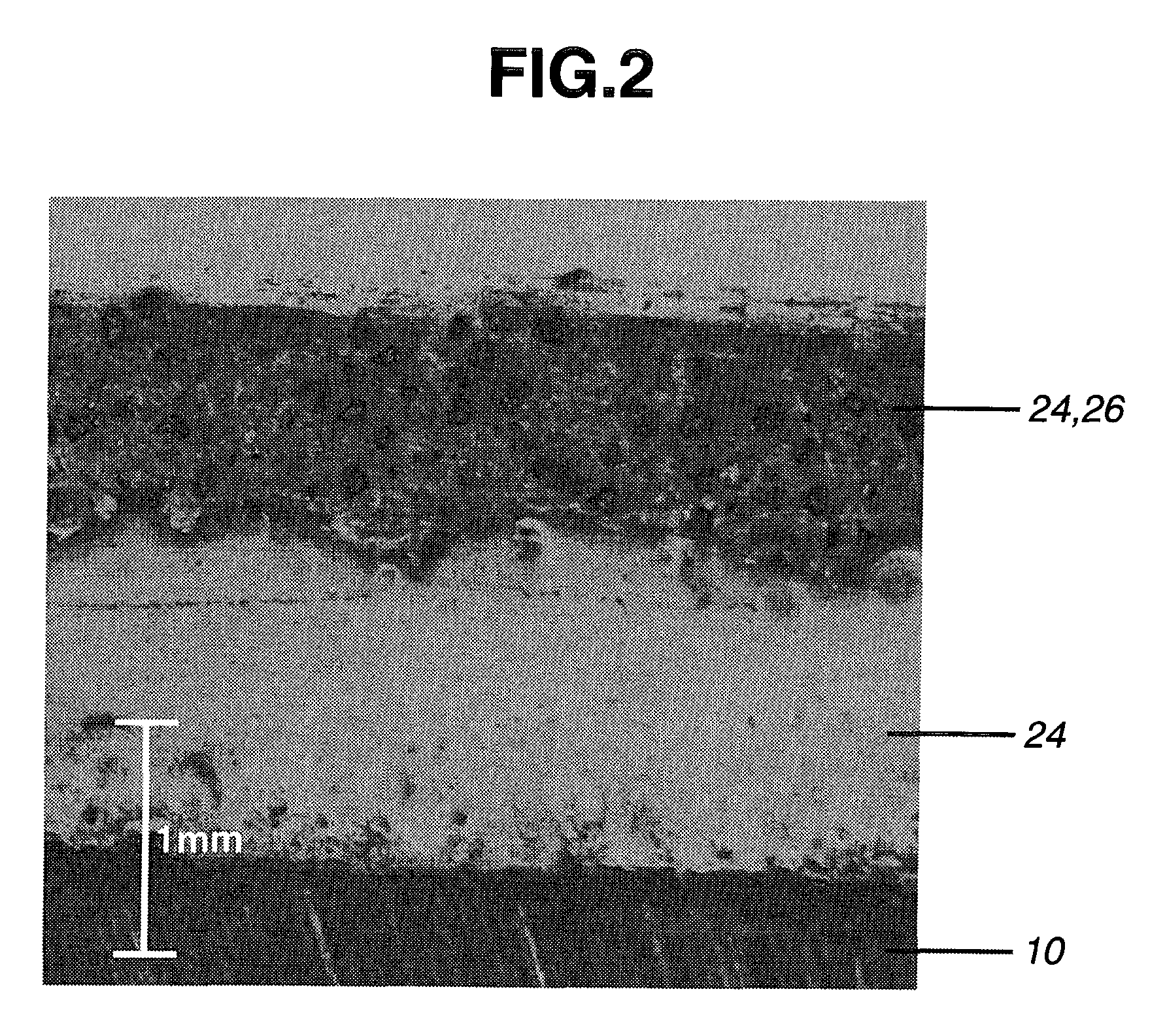 Outer blade cutting wheel and making method