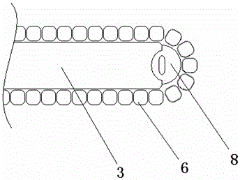 Inner and outer winding coil layered heat dissipation apparatus